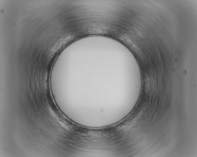 X0000088170490200706121630
