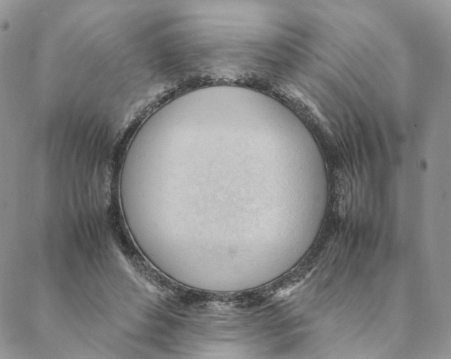 X0000088170496200706121630