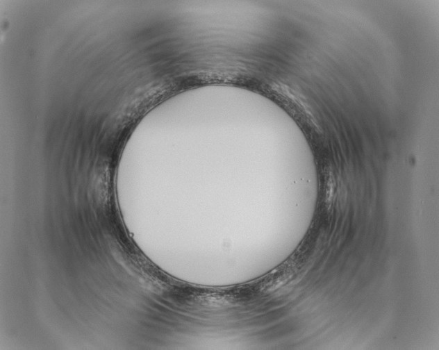 X0000088170498200706121629