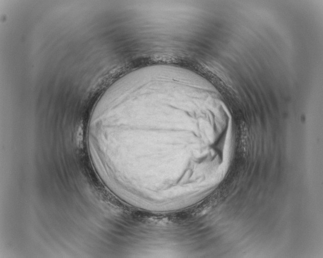 X0000088170502200706121629