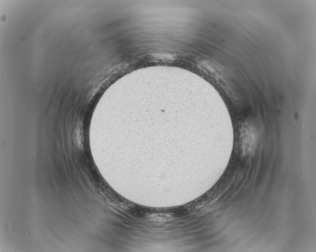 X0000088170508200706121629