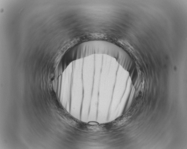 X0000088170516200706121629