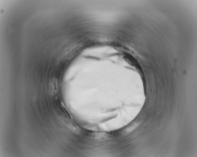 X0000088170528200706121629