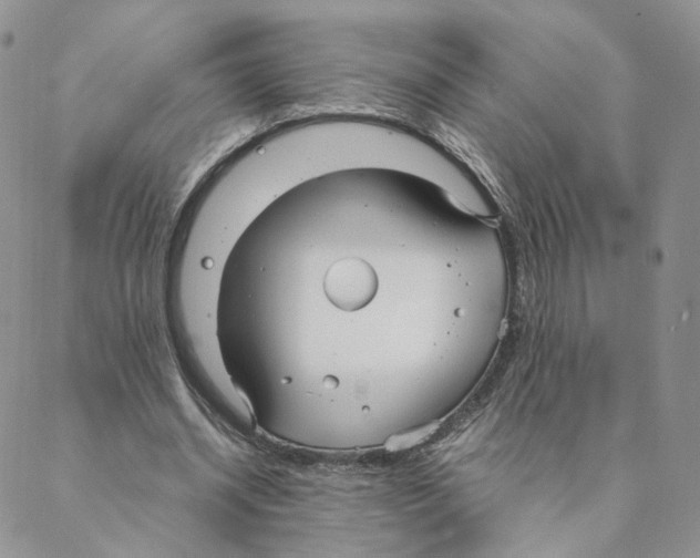 X0000088170534200706121628