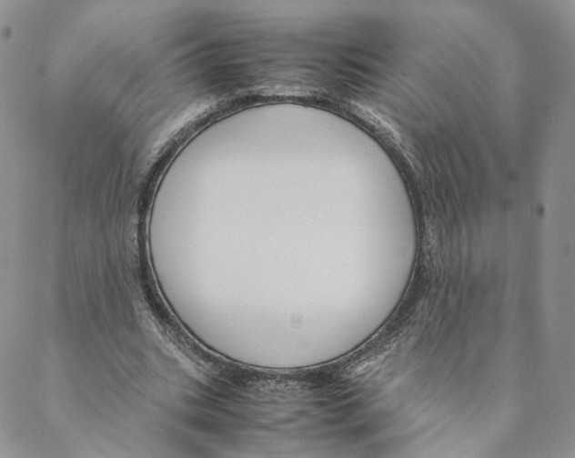 X0000088170535200706121628