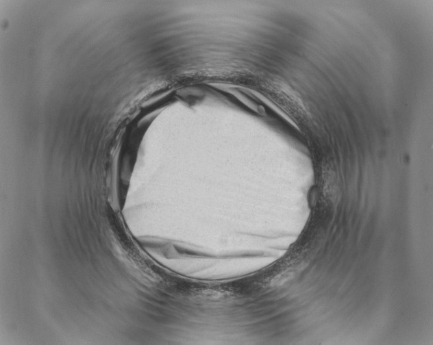 X0000088170542200706121628