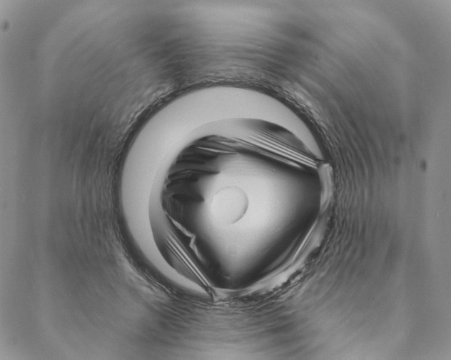 X0000088170546200706121628