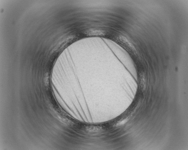 X0000088170549200706121629