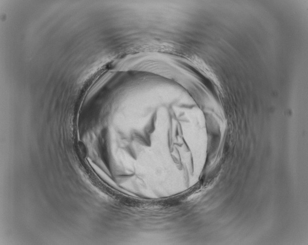 X0000088170581200706121628