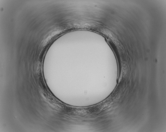 X0000088170583200706121628