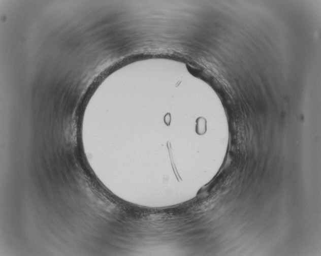 X0000088170584200706121628