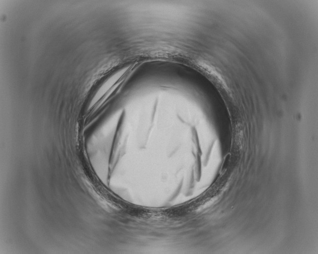 X0000088170589200706121628