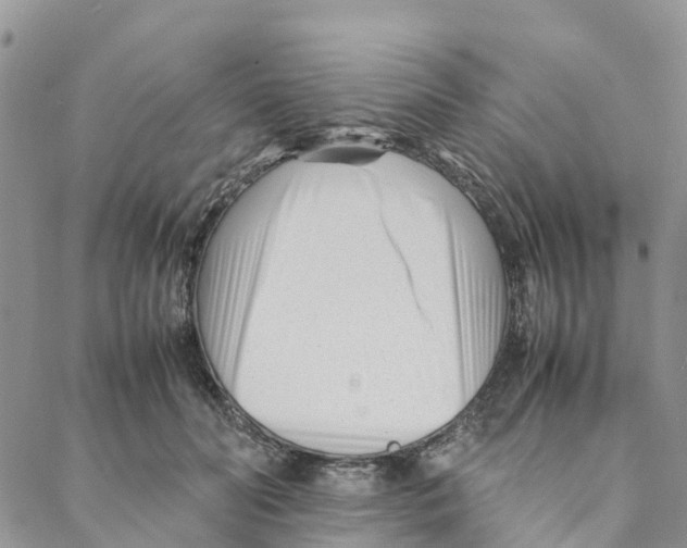 X0000088170606200706121628