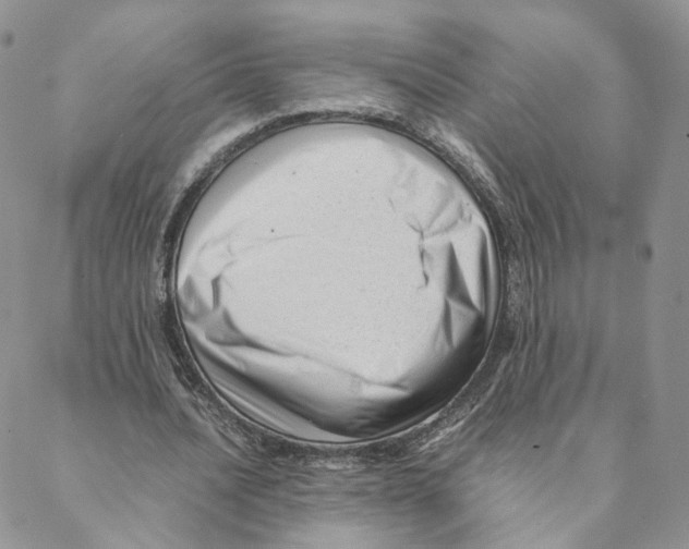 X0000088170628200706121627