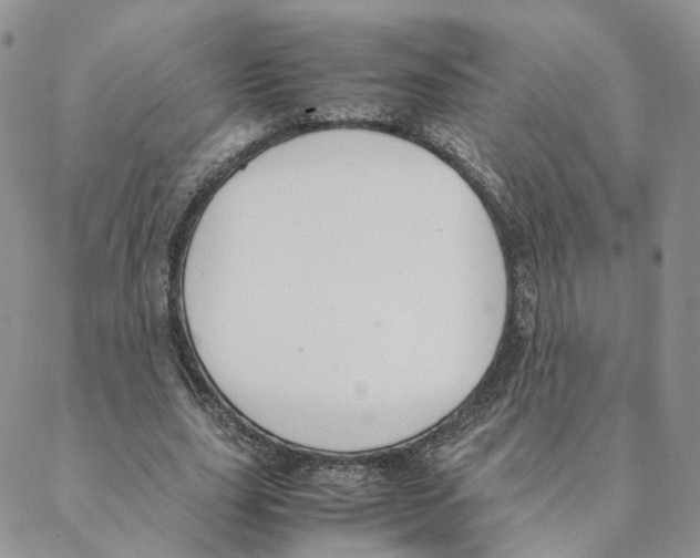 X0000088170631200706121627