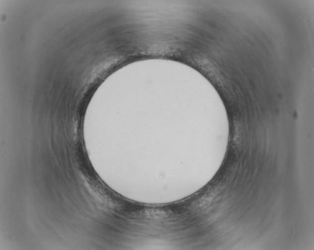X0000088170636200706121627