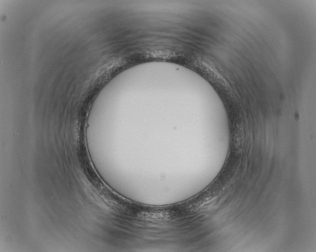 X0000088170639200706121627
