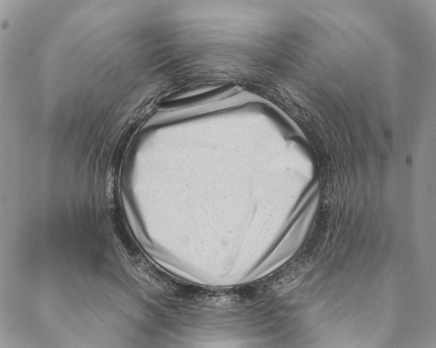 X0000088170646200706121627