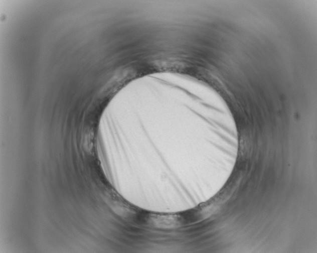 X0000088170671200706121627