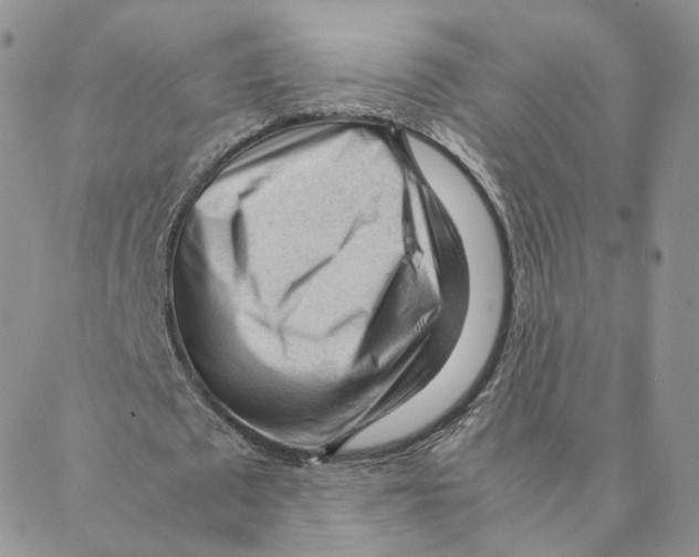 X0000088170673200706121627
