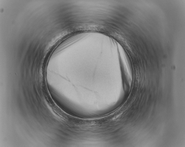 X0000088170674200706121627