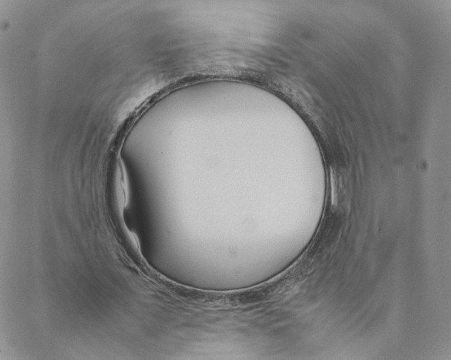 X0000088170675200706121627