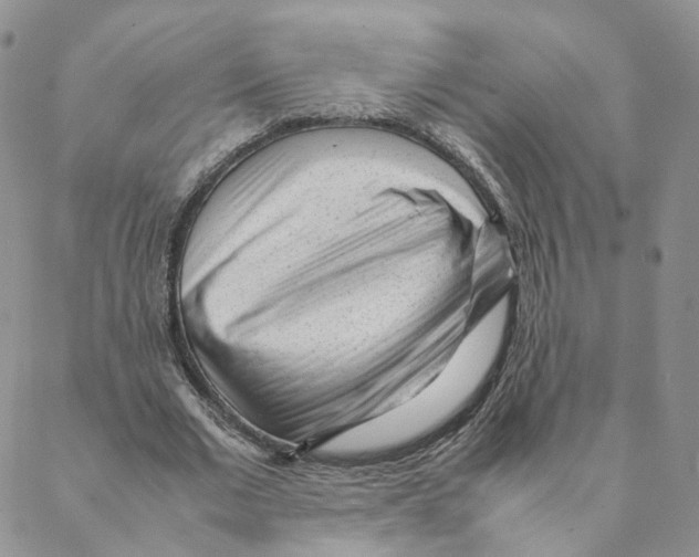 X0000088170677200706121627