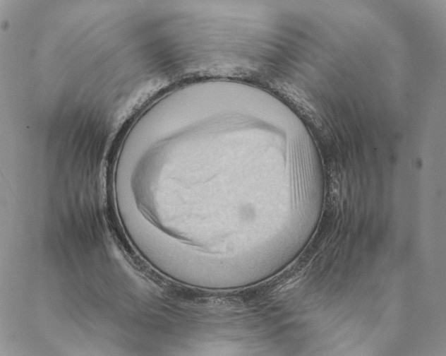 X0000088170678200706121627