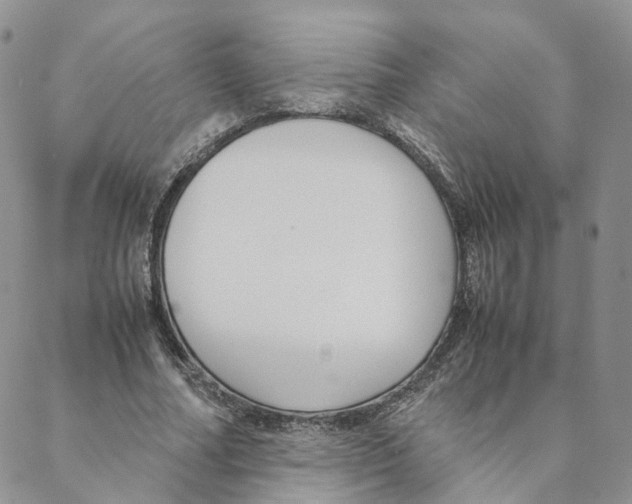 X0000088170682200706121627