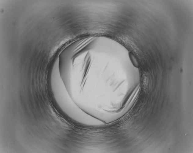 X0000088170684200706121626
