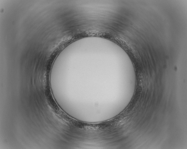 X0000088170690200706121626