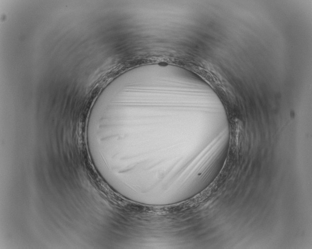 X0000088170696200706121626