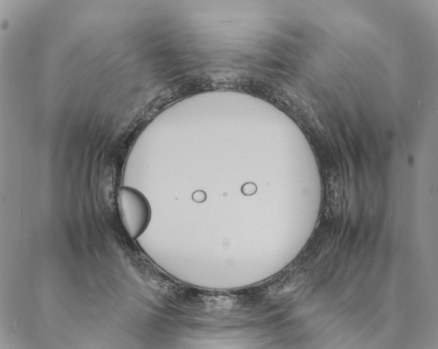 X0000088170698200706121626