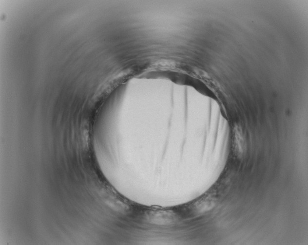 X0000088170716200706121626