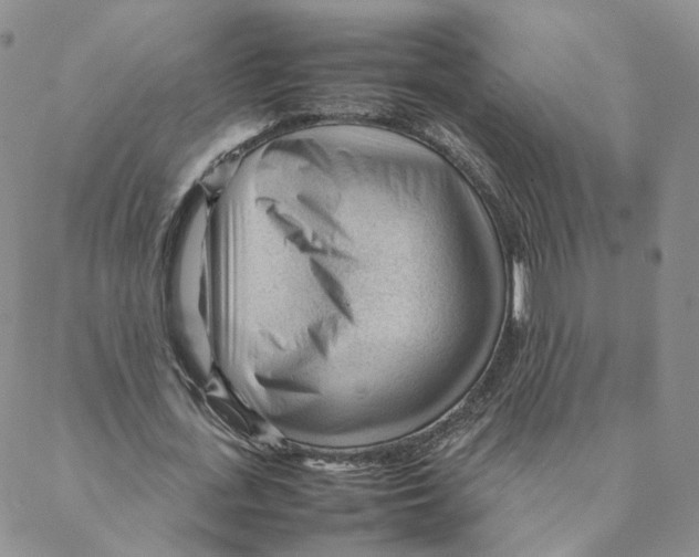 X0000088170723200706121625