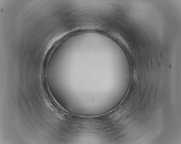 X0000088170724200706121625