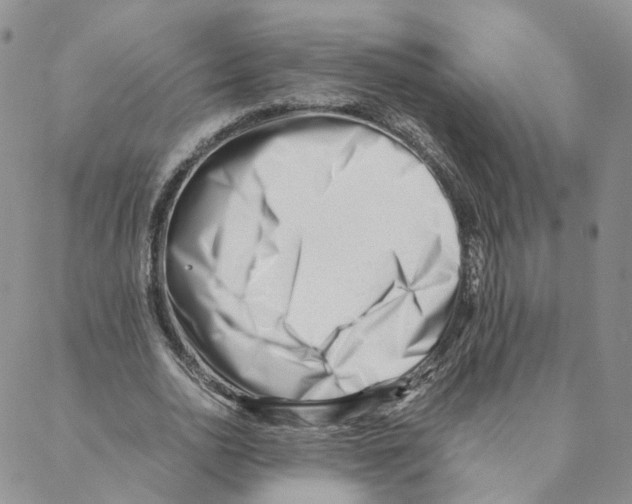 X0000088170726200706121625