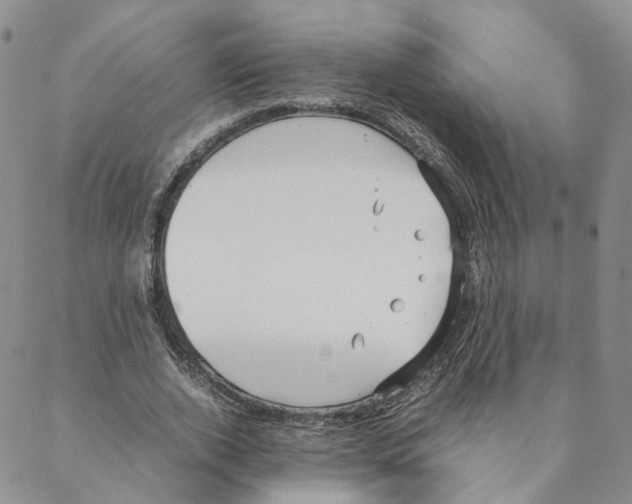 X0000088170728200706121625