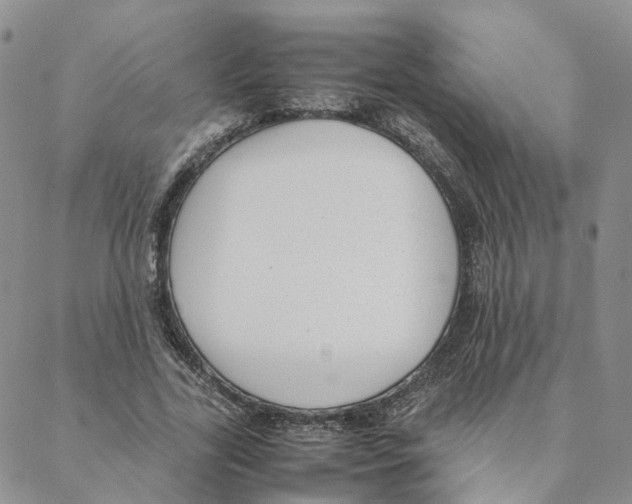 X0000088170731200706121625