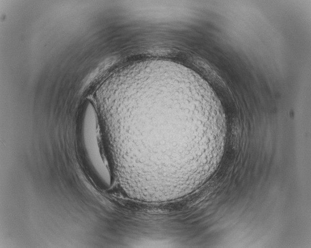 X0000088170734200706121625