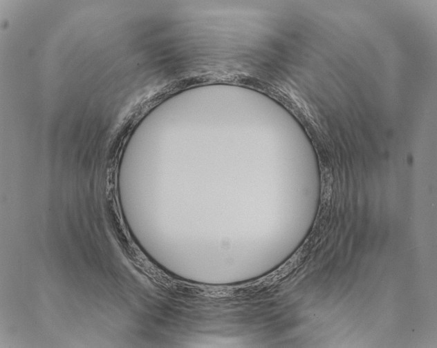 X0000088170736200706121625