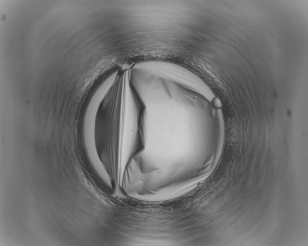 X0000088170738200706121625