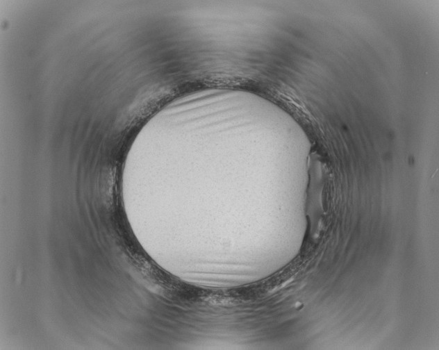 X0000088170742200706121625