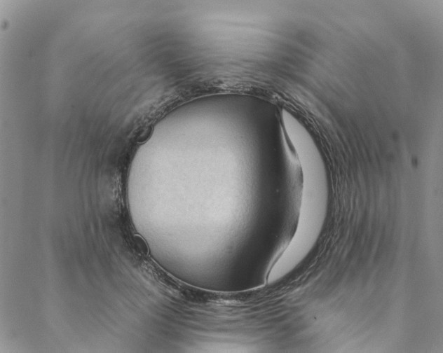 X0000088170748200706121626