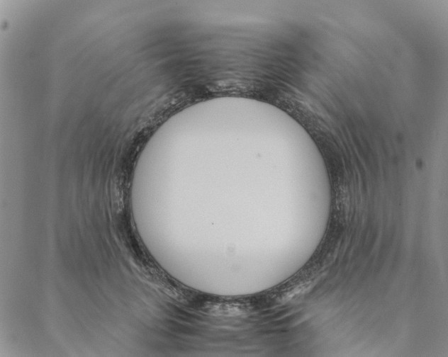 X0000088170751200706121626