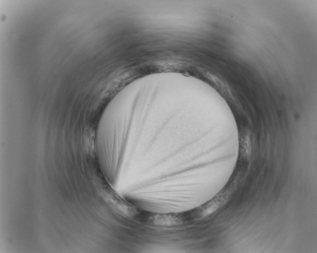 X0000088170766200706121626