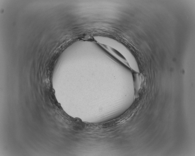 X0000088170771200706121625