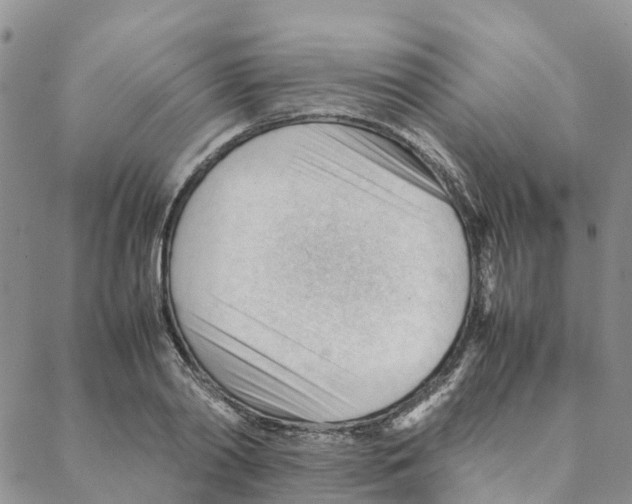 X0000088170790200706121625