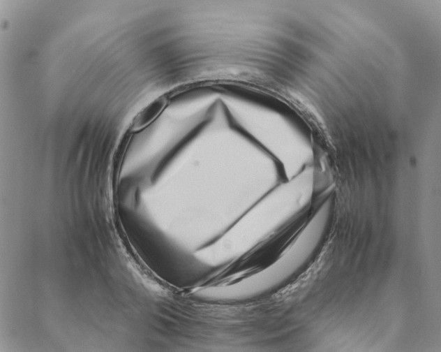 X0000088170792200706121625
