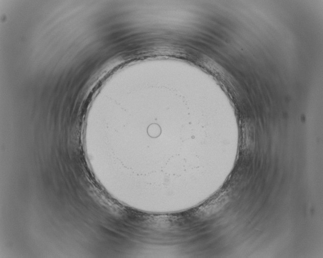 X0000088170828200706121624
